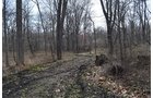 Property photo 131 - REAL ESTATE & PERSONAL PROPERTY AUCTION, 140 Acres offered in 8 Tracts or Combinations in Steuben County